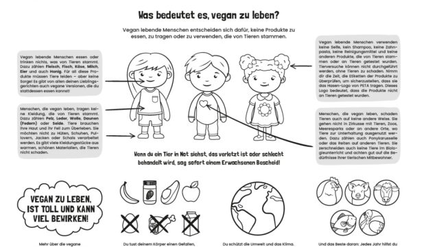 Ein Arbeitsblatt zum Thema vegane Ernährung